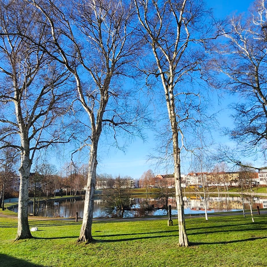 Foråsdag set fra Selmersbo Foråsdag set fra Selmersbo